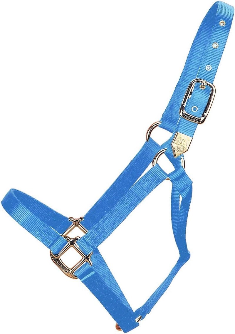 Hamilton Deluxe Horse Halter, 1" Triple Ply Nylon, Yearling or Standard Donkey, 300-500 lbs, Berry Blue - Image 1