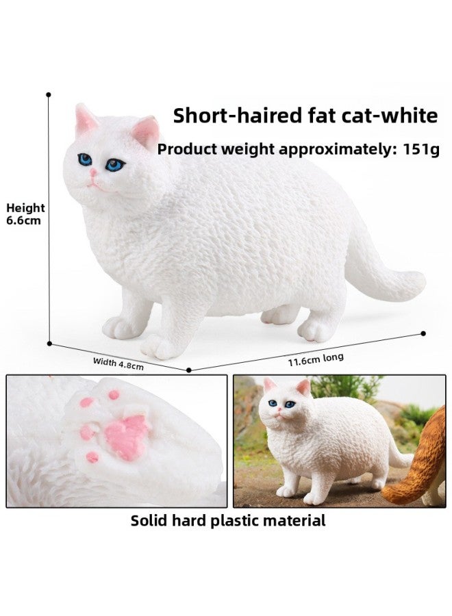 Children's Simulation Short-haired Fat Cat Model Cognitive Cat Accessories Domestic Cat Birthday Gift English Short Tabby Doll Ornaments-Color:M-2819 Short-haired Fat Cat (white)  - Image 1