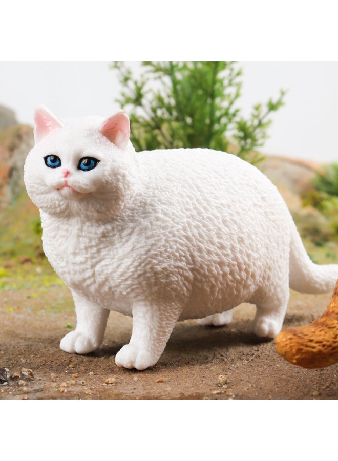 Children's Simulation Short-haired Fat Cat Model Cognitive Cat Accessories Domestic Cat Birthday Gift English Short Tabby Doll Ornaments-Color:M-2819 Short-haired Fat Cat (white)  - Image 3