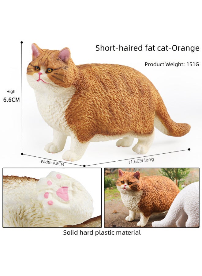 Children's Simulation Short-haired Fat Cat Model Cognitive Cat Accessories Domestic Cat Birthday Gift English Short Tabby Doll Ornaments-Color:M-2819 Short-haired Fat Cat (white)  - Image 5