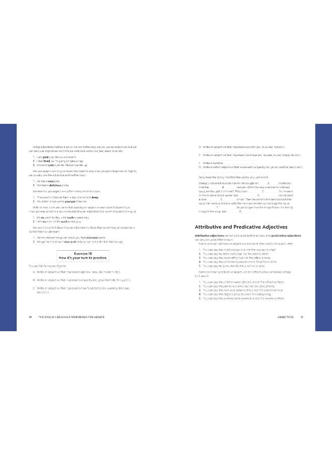 The English Grammar Workbook for Adults: A Self-Study Guide to Improve Functional Writing  - Image 5