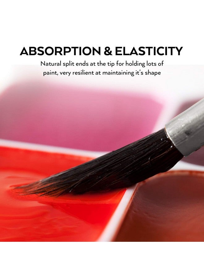 نيكبرو مجموعة فرش الرسم بالألوان المائية الدائرية المكونة من 15 قطعة، فرش الرسم بالألوان المائية الناعمة المصنوعة من مادة السنجاب الصناعية الاحترافية، للرسم بالألوان المائية والزيت والنماذج والغواش والحبر - Image 3