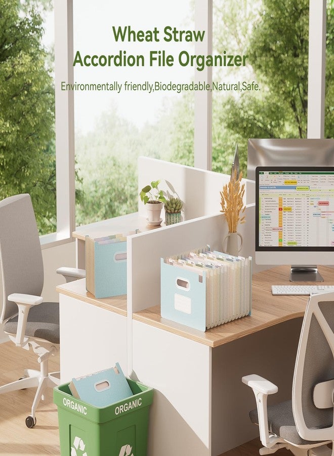 EcoStash Accordian File Organizer, 12 Pockets Wheat Straw Expanding File Folders, Upright & Open Top, Monthly Bill Receipt Organizer, 100% BPA Free, Return to Nature, Healthy Living, Letter/A4 Size-Sky Blue - Image 2