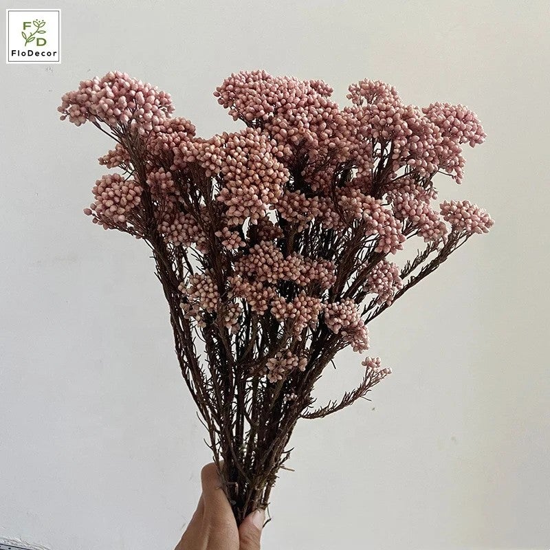 Bluejw High Quality Real Touch Mini Rice Flower Dried Preserved Flower Bouquet - Natural Dried Plants Stems Eternal Home Decor - Image 2