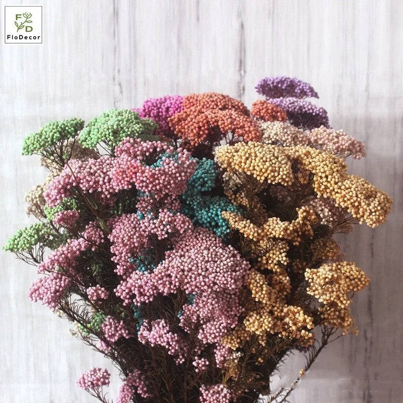 Bluejw High Quality Real Touch Mini Rice Flower Dried Preserved Flower Bouquet - Natural Dried Plants Stems Eternal Home Decor - Image 1