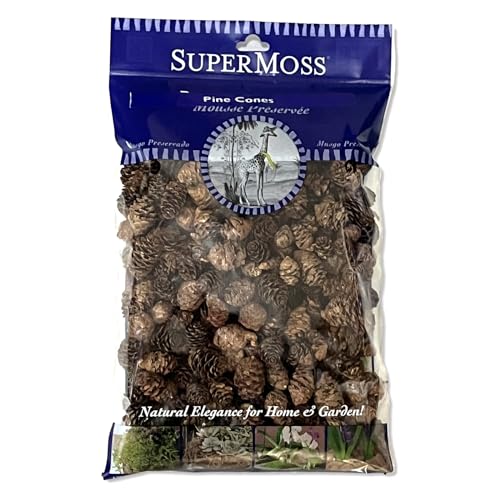 SuperMoss (24511) Black Spruce Pine Cones, 8-Ounce, Brown - Image 1