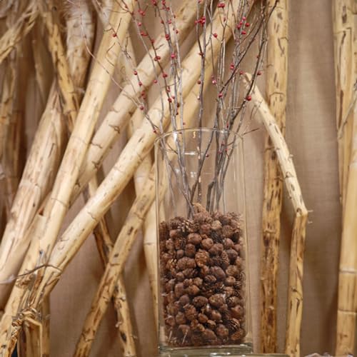 SuperMoss (24511) Black Spruce Pine Cones, 8-Ounce, Brown - Image 4