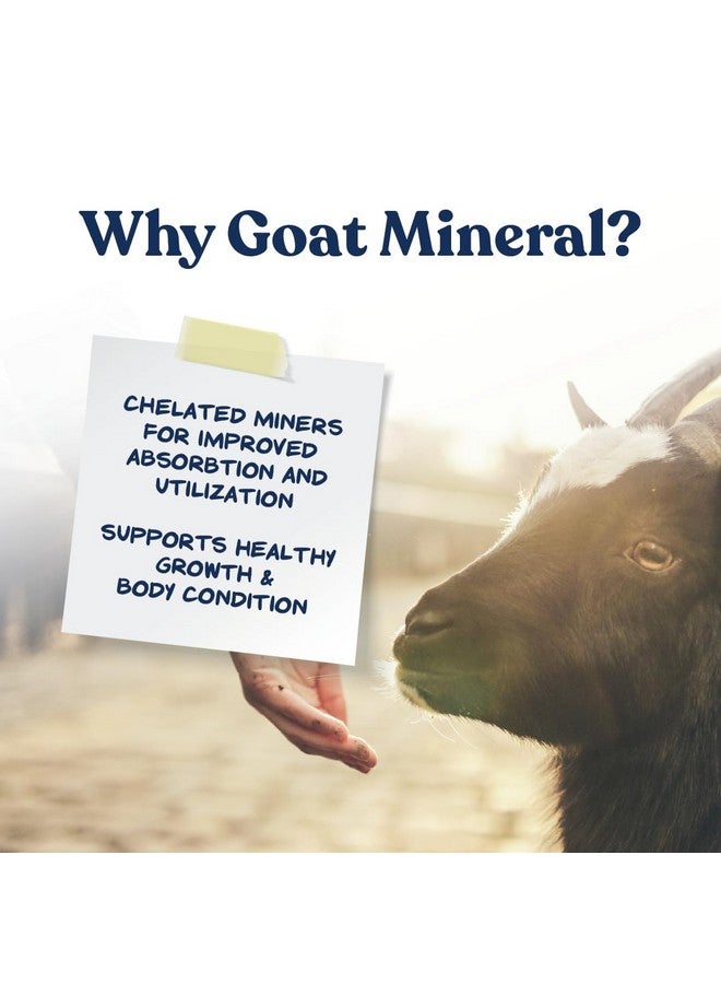 Manna Pro Goat Mineral Supplement - Made with Vitamins & Minerals to Support Growth & Development - Contains Ammonium Chloride - Microbial Blend for Digestion - 8 lbs - Image 4