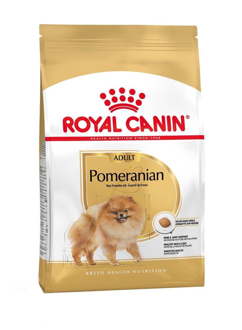 رويال كانين بوميرانيان أدلت 1.5 كجم