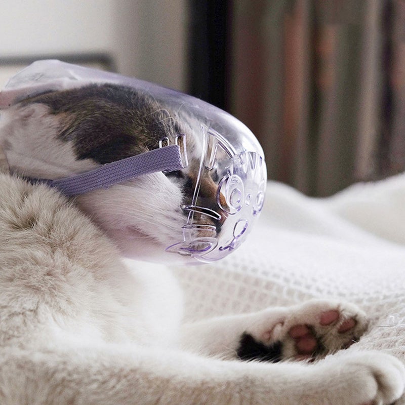🐾 كمامة قط للتنظيف قابل للتنفس وقابل للتعديل تمنع النباح والقضم - Image 3