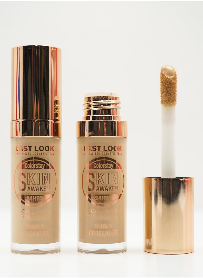 5 in 1 Concealer Colorstay 24hr - 101 - pzsku/Z8659B36F37B4AE73DDB8Z/45/_/1734266201/0a067d6f-5124-4f5d-a373-c676db68c45f