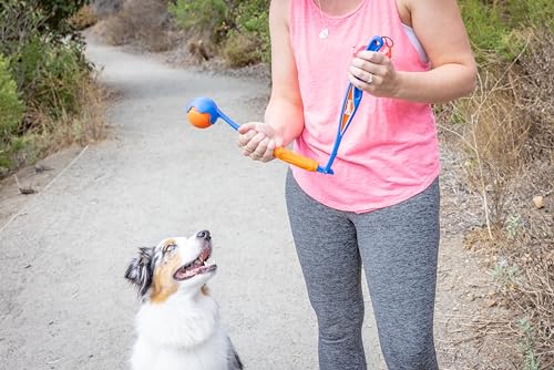 Chuckit! Fetch & Fold Mini 18M Dog Ball Launcher - Image 5