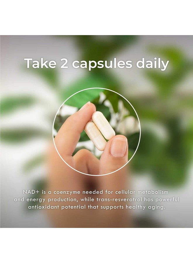 نيوروجان كبسولات Neurogan NAD+ مع ريسفيراترول بنسبة 1:1 | مكمل غذائي لدعم الطاقة الخلوية والشيخوخة الصحية | معزز ثنائي نوكليوتيد النيكوتيناميد والأدينين | 1200 مجم، 600 مجم NAD، 600 ريسفيراترول، 90 كبسولة - Image 4