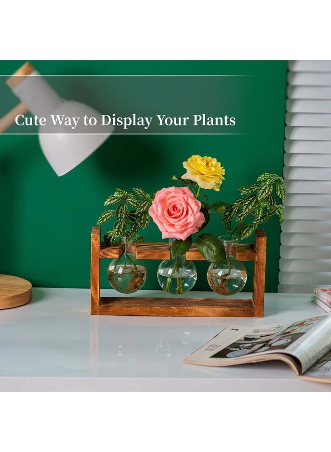 Creative Wooden Frame Hydroponic Propagation Station – Handcrafted Glass Flower Vase for Succulent & Plant Growth | Perfect for Indoor Greenery, Floral Arrangements, and Home Décor | Ideal Gift for Plant Lovers - Image 5