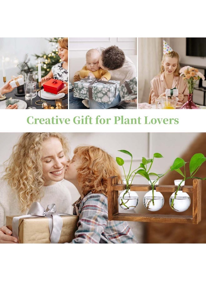 Creative Wooden Frame Hydroponic Propagation Station – Handcrafted Glass Flower Vase for Succulent & Plant Growth | Perfect for Indoor Greenery, Floral Arrangements, and Home Décor | Ideal Gift for Plant Lovers - Image 4