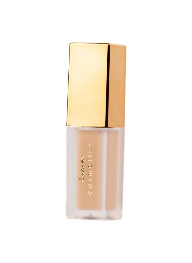 Canvas cosmetics Multitasker Concealer II 