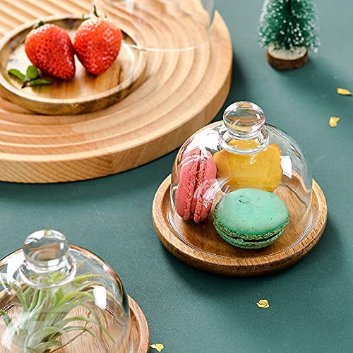 Ikerall 2 Pack Ultra Mini Wooden Base Cake Display Stand with Glass Dome,Cloche Clear Glass Bell Jar Cover for Dessert Cheese Candy Plants Succulents （for Sizes up to 3 "） - Image 5