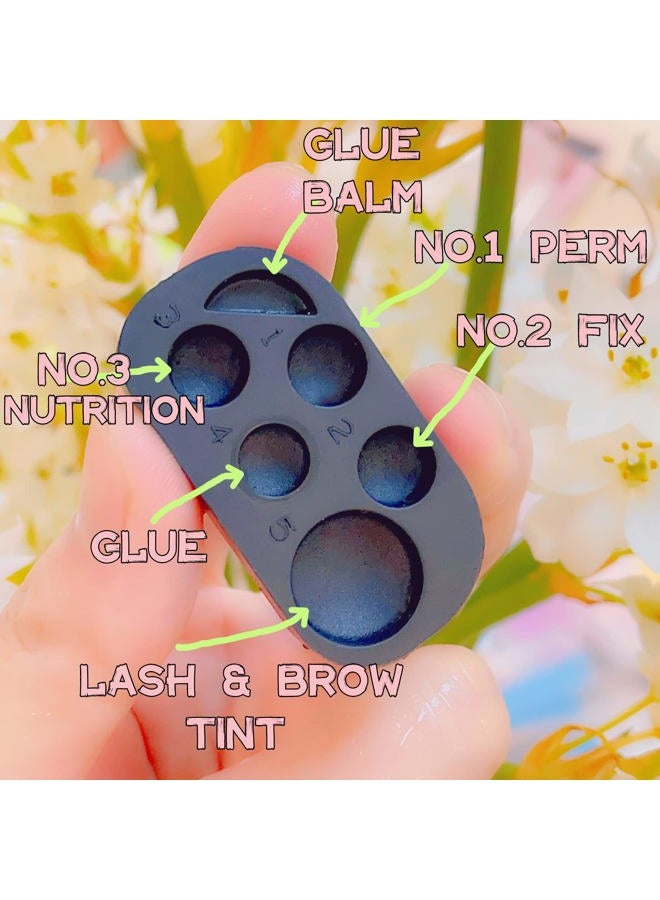 ICONSIAM Silicone Lash Lift T-i-n-t Palette 6 Function Tray Plate for Eyelash Lifting Brow Lamination D-y-e Lash Extension Remover Container Eyelash Lift Palette 2 pcs 1000 Lamination - Image 3