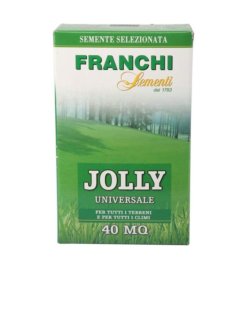 Franchi Sementi Jolly Grass Seeds 1kg - pzsku/Z8662DFE4F862754A357CZ/45/_/1661242237/7f6a7ebb-45cd-4973-b5a4-1c0e1f788564