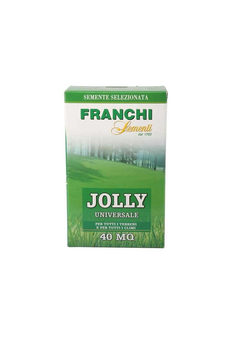 Franchi Sementi Jolly Grass Seeds 1kg - pzsku/Z8662DFE4F862754A357CZ/45/_/1661242237/c36e3006-eacc-45a7-bc97-b808d952b111