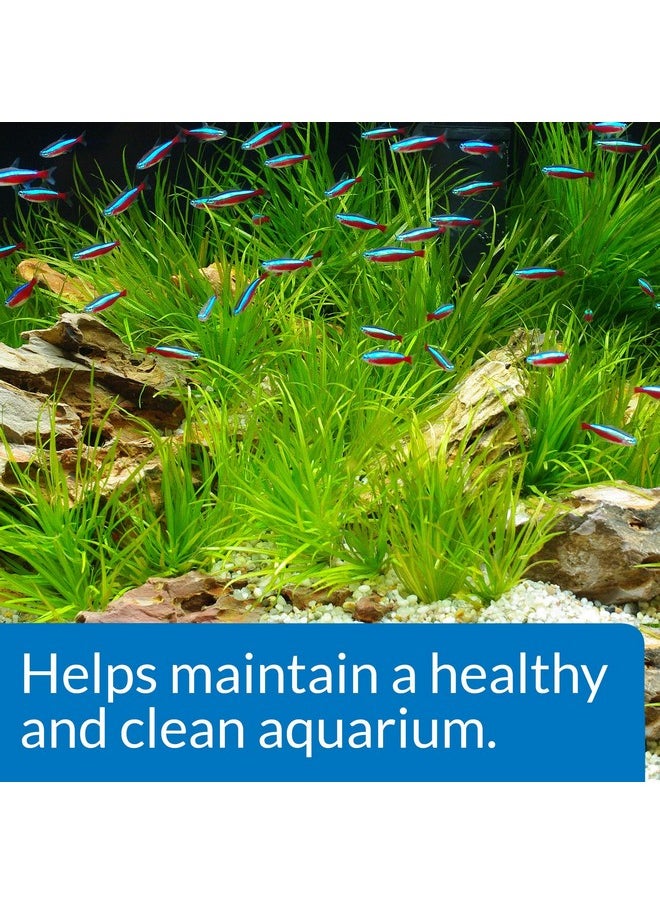 ايه بي آي عبوة بدء تشغيل API AQUARIUM - مُكيّف مياه - زجاجة سعة 1.25 أونصة - عبوة من قطعتين  - Image 3