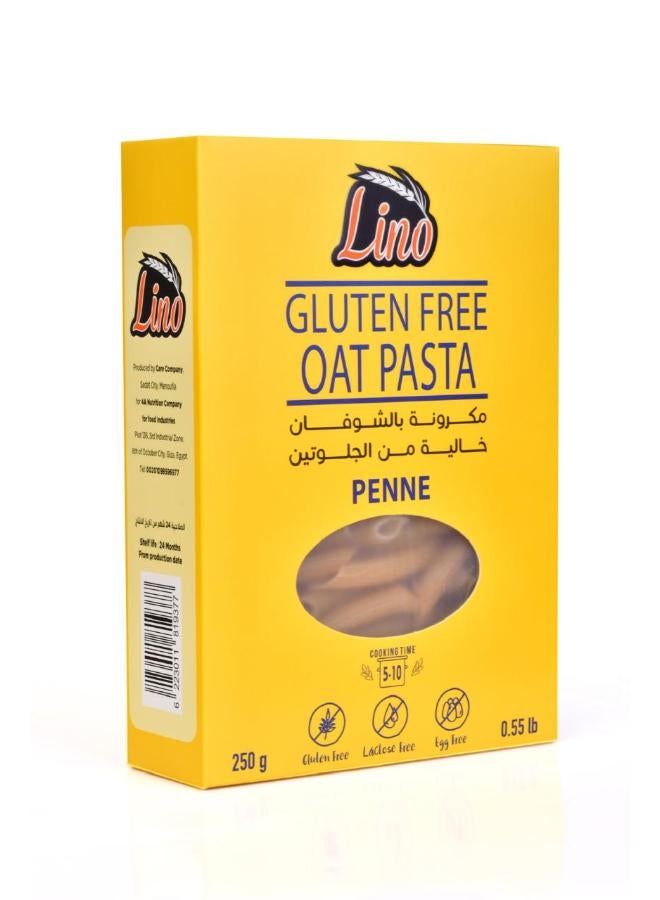 Penne Oat Pasta With Gluten Free - 250 Gram