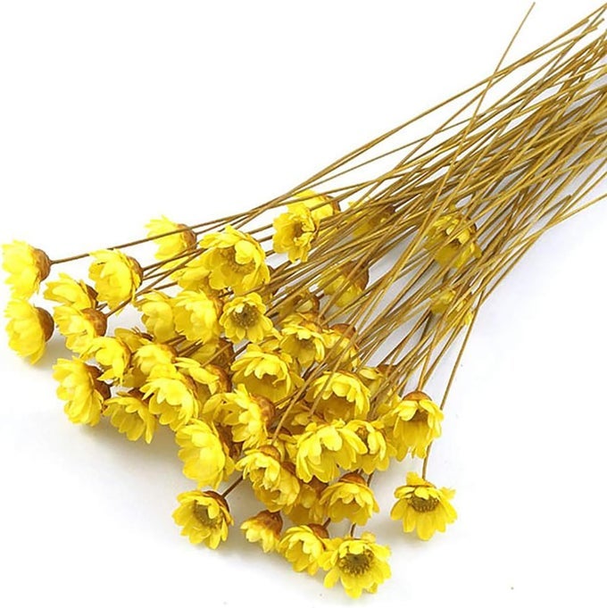 100 STEMS NATURAL DRY FLOWERS BRAZILIAN SMALL STAR DAISY DECORATIVE DRIED FLOWERS MINI DAISY CHAMOMILE BOUQUET FOR WEDDING FLORAL ARRANGEMENTS HOME DECORATIONS AUTUMN COLOR