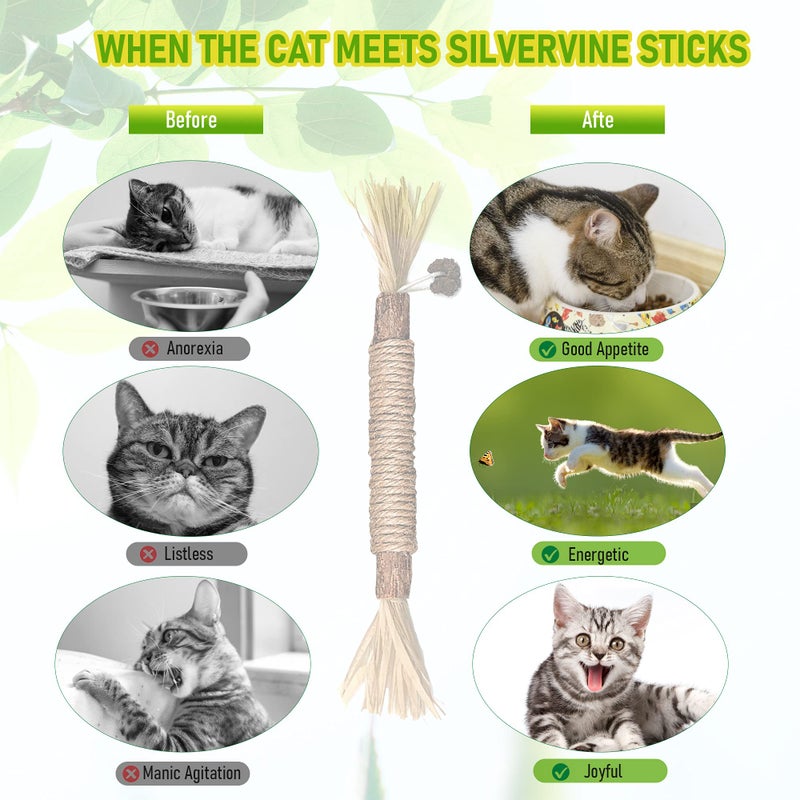 GBSYU 5 Pack Silvervine Cat Toy, Silvervine Sticks Cat Toys for Indoor Cats, Cat & Kitten Chew Toys for Aggressive Chewers, Cat Dental Toy for Kitten Teeth Cleaning, Matatabi Silvervine for Cats - Image 5