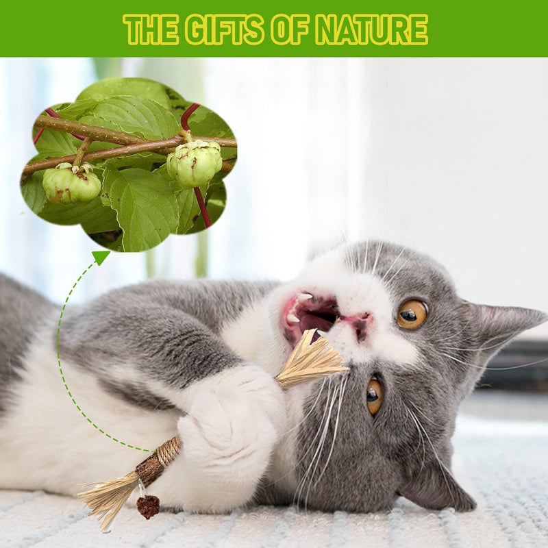 GBSYU 5 Pack Silvervine Cat Toy, Silvervine Sticks Cat Toys for Indoor Cats, Cat & Kitten Chew Toys for Aggressive Chewers, Cat Dental Toy for Kitten Teeth Cleaning, Matatabi Silvervine for Cats - Image 4