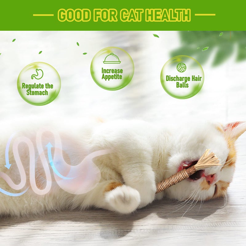GBSYU 5 Pack Silvervine Cat Toy, Silvervine Sticks Cat Toys for Indoor Cats, Cat & Kitten Chew Toys for Aggressive Chewers, Cat Dental Toy for Kitten Teeth Cleaning, Matatabi Silvervine for Cats - Image 3