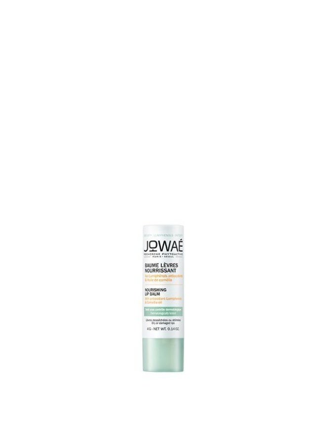 Jowae Jowaé Camellia Oil Nourishing Lip Balm 4gr - Image 1