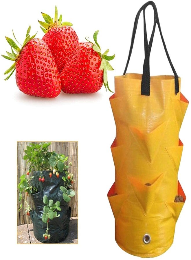 EBOCACB 3 pcs Hanging Planter Bag with Handles, Plastic Hanging Strawberry Planting Containers Strawberry Grow Bags Foldable Durable Growing Bags Grow Planter for Growing Vegetables Flowers Herb Plant - Image 5