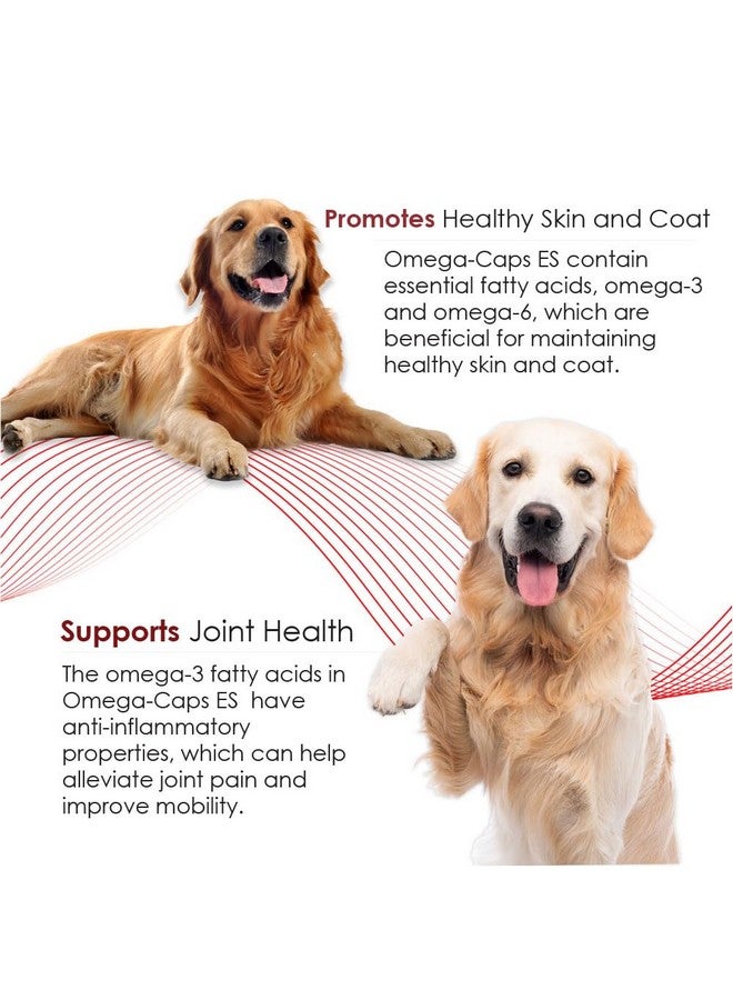 أوميغا-كابس قوة إضافية للأنواع الكبيرة - مصممة من قبل الأطباء البيطريين لبشرة ومعطف صحيين ومتألقين مع تقليل تساقط الشعر الزائد. أوميغا 3 لدعم جهاز المناعة، سهل الجرعة، 180 كبسولة هلامية لينة. - Image 5