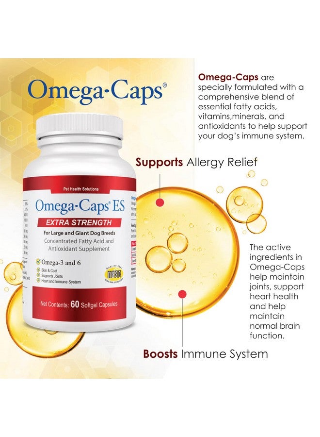 أوميغا-كابس قوة إضافية للأنواع الكبيرة - مصممة من قبل الأطباء البيطريين لبشرة ومعطف صحيين ومتألقين مع تقليل تساقط الشعر الزائد. أوميغا 3 لدعم جهاز المناعة، سهل الجرعة، 180 كبسولة هلامية لينة. - Image 2