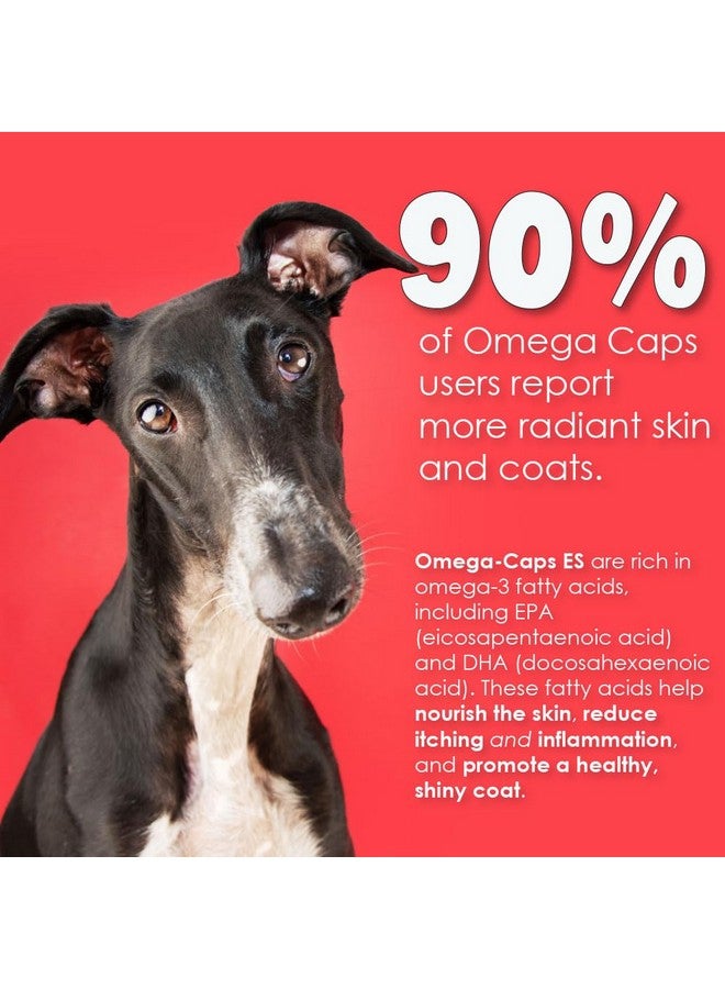 أوميغا-كابس قوة إضافية للأنواع الكبيرة - مصممة من قبل الأطباء البيطريين لبشرة ومعطف صحيين ومتألقين مع تقليل تساقط الشعر الزائد. أوميغا 3 لدعم جهاز المناعة، سهل الجرعة، 180 كبسولة هلامية لينة. - Image 3