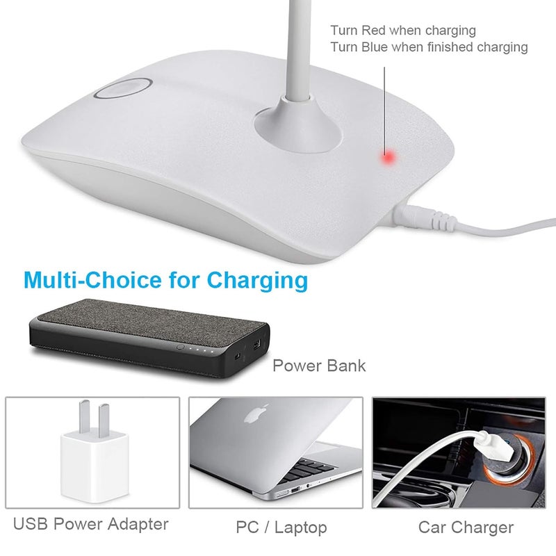 DEEPLITE Plastic Desk Lamp Daylight White Pack of 1 Lamp 1 USB Cable 1 Operating Manual - Image 5