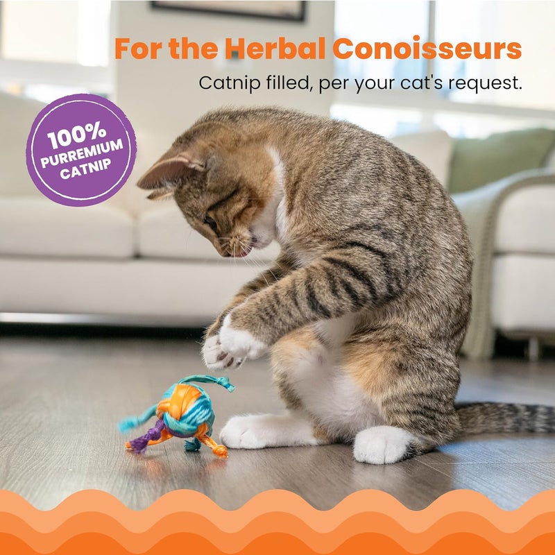 Catstages Pet Stages Tons Of Tails - Image 3