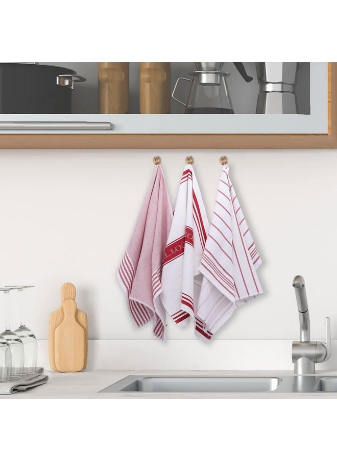 BC BARE COTTON - Classic Value Pack Kitchen Dish Towels/Tea Towels/Dishcloth - 100% Cotton, Low Lint, Professional Grade Kitchen Dish Towels Cranberry- Striped - Set Of 3 - Image 1