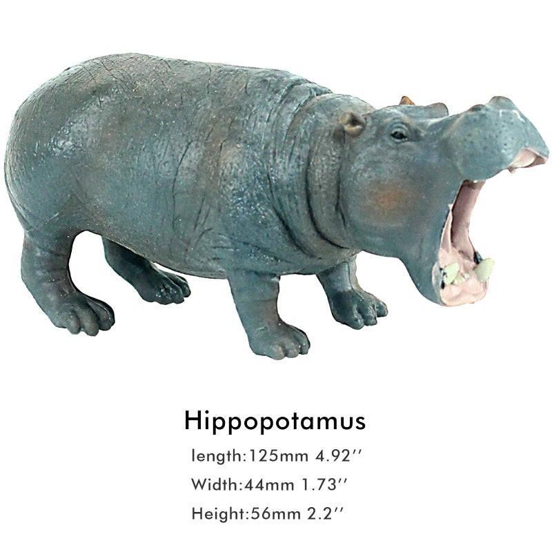 FUNSHOWCASE African Jungle Animals Toy Hippos Hippopotamus Figure Realistic Plastic Figurine Playset Lot 4-Piece - Image 3