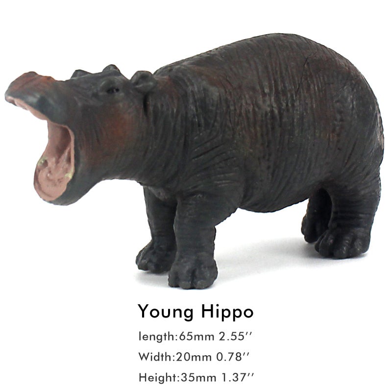 FUNSHOWCASE African Jungle Animals Toy Hippos Hippopotamus Figure Realistic Plastic Figurine Playset Lot 4-Piece - Image 4