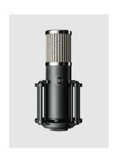 512 Audio Large-Diaphragm Condenser XLR Microphone Custom-tuned for Voice and Vocals-512-SLT Skylight - pzsku/Z866E55CE291CAE84D803Z/45/_/1733476990/fa239b59-9dad-4d94-ae19-410ecdd232ce