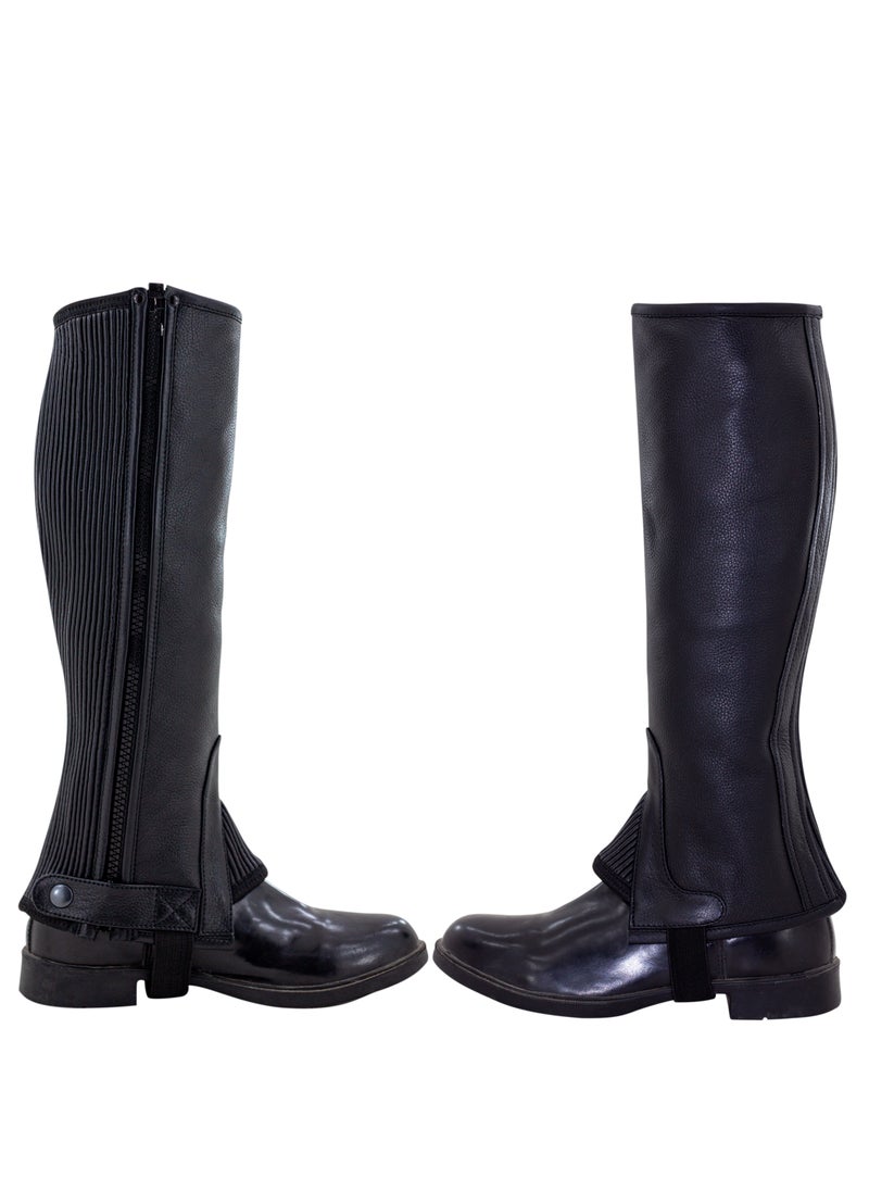 Royal Riders Premium Horse Riding Half Chaps - Cow Leather, Luxurious & Durable Equestrian Half Chaps for Men & Women - #10026461  - Image 1