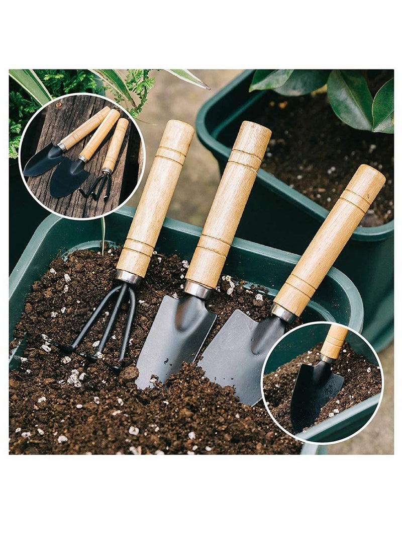 KASTWAVE Garden Tools Set of 6 Pcs  Succulent Tools Pruning Scissors as Plant AccessoriesSucculent Gardending Hand Tools Kit for Seedling Soil Caring Succulent Houseplent Bonsi - Image 2