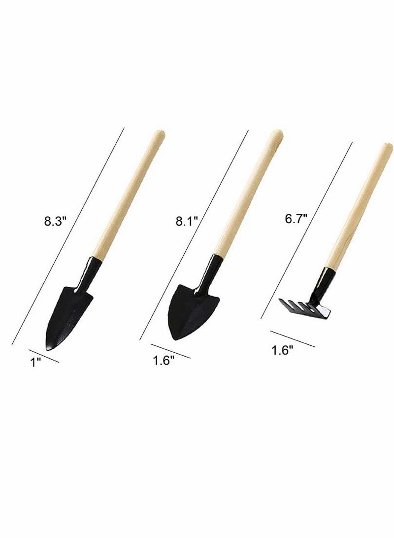 KASTWAVE Garden Tools Set of 6 Pcs  Succulent Tools Pruning Scissors as Plant AccessoriesSucculent Gardending Hand Tools Kit for Seedling Soil Caring Succulent Houseplent Bonsi - Image 4