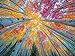 Cross & Glory Cross Glory Sky Through The Aspens 1000 Piece Jigsaw Puzzle for Adults Golden Autumn Forest Puzzle Vibrant Fall Nature Artwork Premium RibbonCut Puzzle with Satin Finish - Image 2