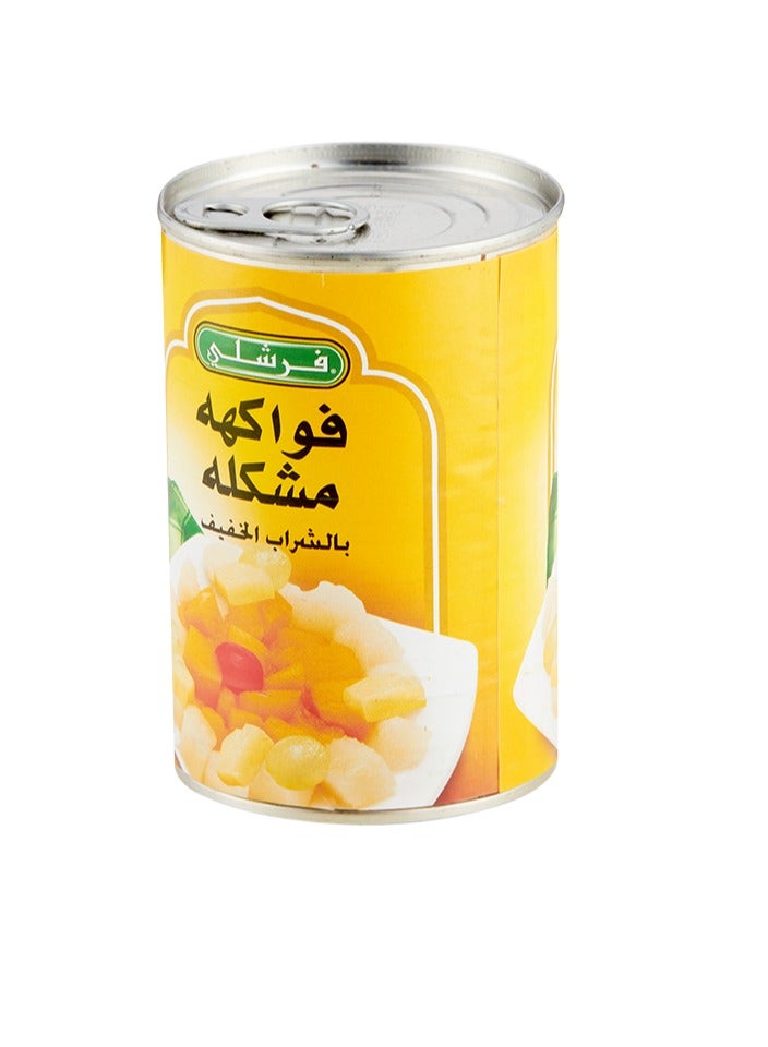 Freshly Mixed Fruits With Light Syrup 415 g