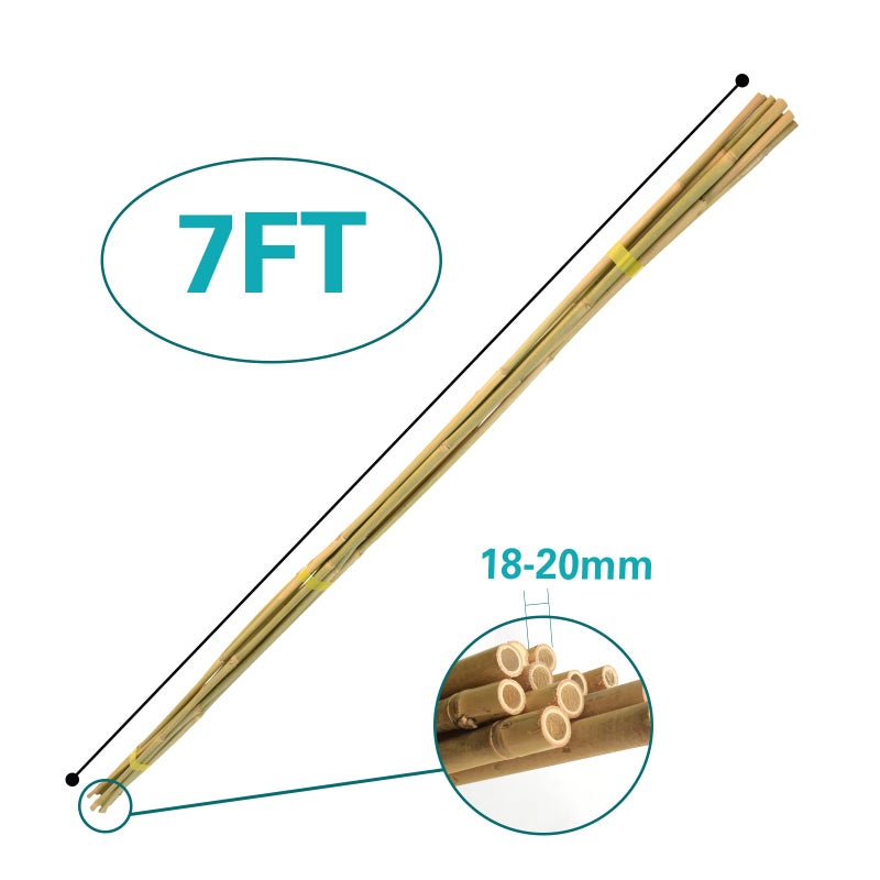 Sprigra Bamboo Stakes 7 Feet, 84 inch Garden Stakes Multi-Purpose, Bamboo Plant Support Stakes for Tomatos, Beans, Cucumbers, Peppers, Potted Trees, Maintain The Plant Posture, Strengthen and Stem - Image 3