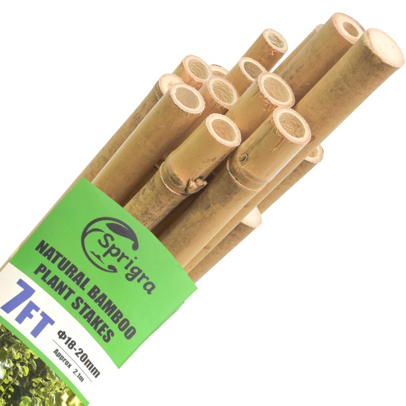 Sprigra Bamboo Stakes 7 Feet, 84 inch Garden Stakes Multi-Purpose, Bamboo Plant Support Stakes for Tomatos, Beans, Cucumbers, Peppers, Potted Trees, Maintain The Plant Posture, Strengthen and Stem - Image 1