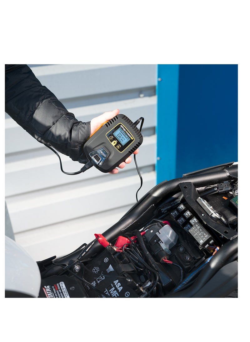 Oxford Oximiser 900 Essential Battery Management System - Image 5