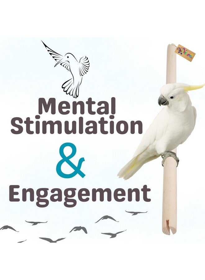 ويستيرن إرا مجثم خشبي من Avian Haven: صحة قدم مثالية وراحة لرفاقك ذوي الريش، مثالي للببغاوات والكوكاتيل والطيور الصغيرة، مصنوع من الخشب الطبيعي من أجل المتانة (عبوة من 4 قطع) - Image 3